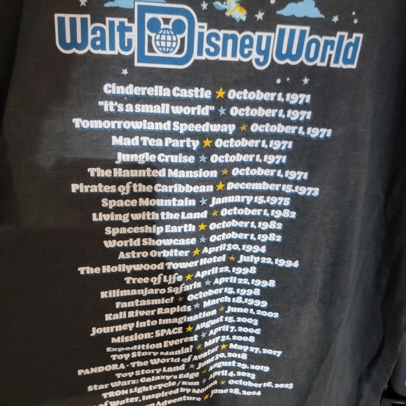 Disney Adult Charcoal T-Shirt with Colorful Park Design - Picture 5 of 5